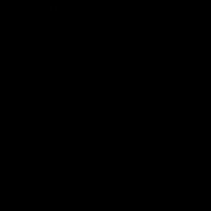 Meet your Posher, Sofia